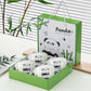 Panda & Bamboo Bowl and Chopsticks Gift Set
